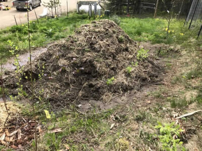 Experimentation with Hugelkulture Image